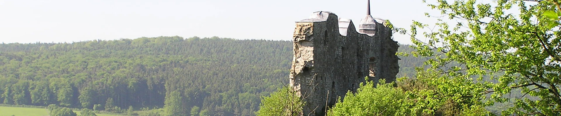 Header Burgruine Hütting